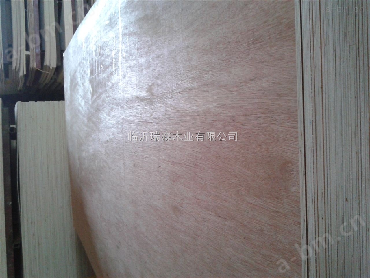 临沂瑞森木业防水面胶合板5mm多层板板门板