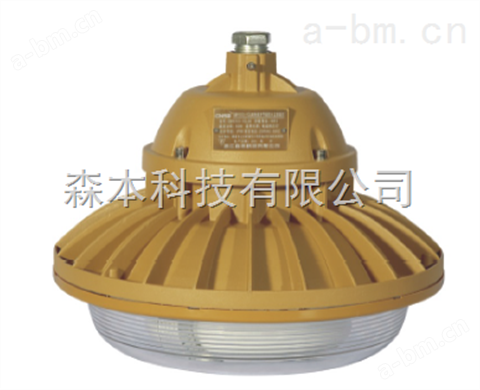 吸壁式SBF6103-YQL50免维护节能防水防尘防腐灯