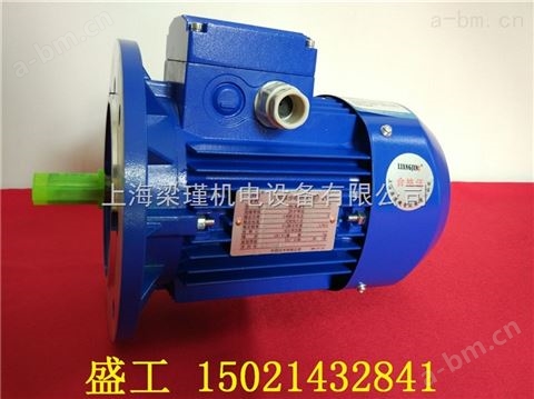 中国中国台湾MS5614紫光电机*